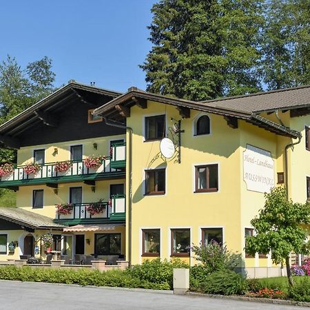 Hotel Landhaus Ausswinkl Russbach am Pass Gschuett Exterior photo